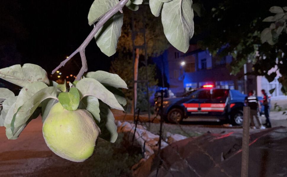Samsun'da 'ayva dalı' cinayeti: Fransa'dan gelip amcasını öldürdü!