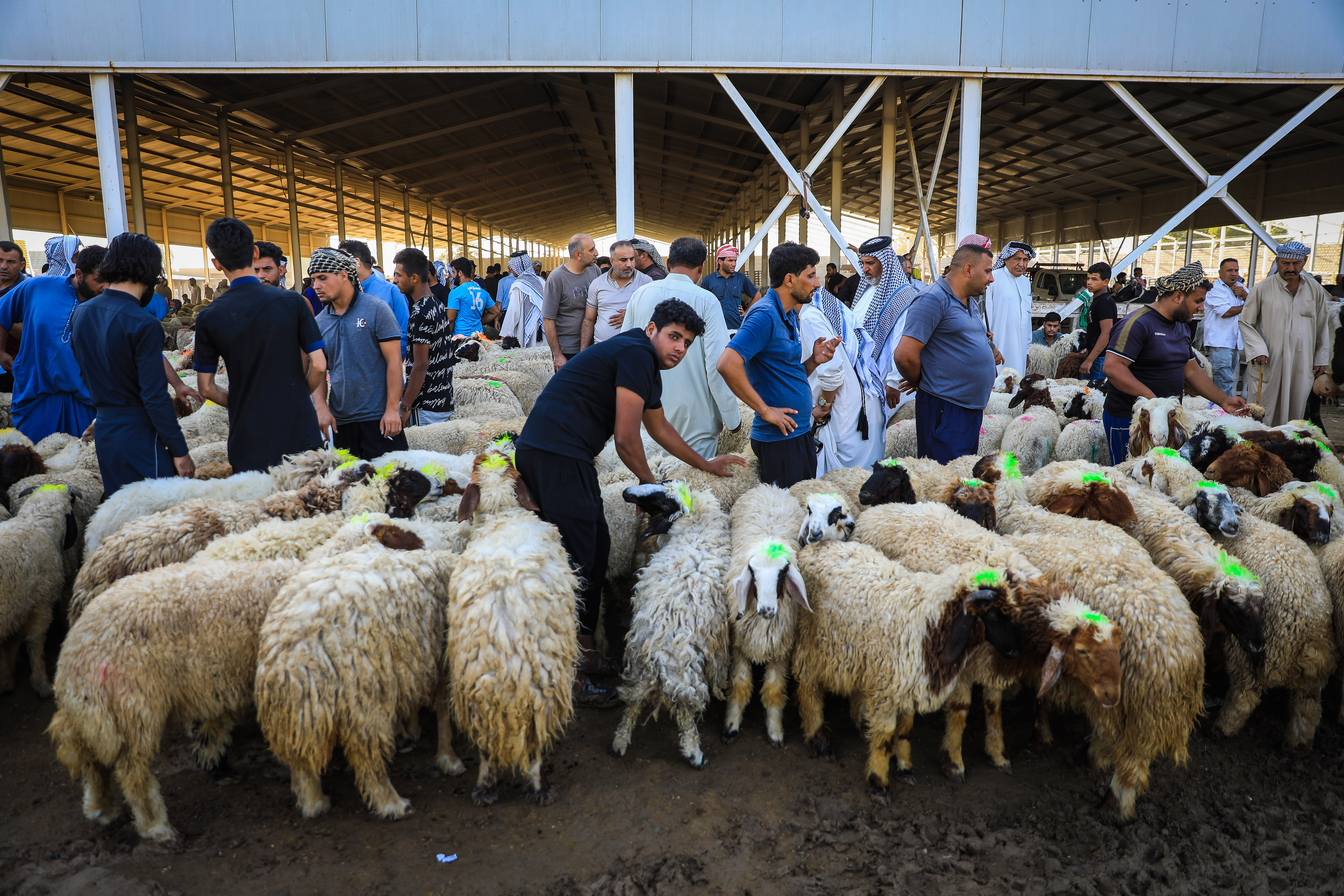 6-IRAKTA_KURBAN_PAZARLARINDA_HAREKETLILIK_YASANIYOR