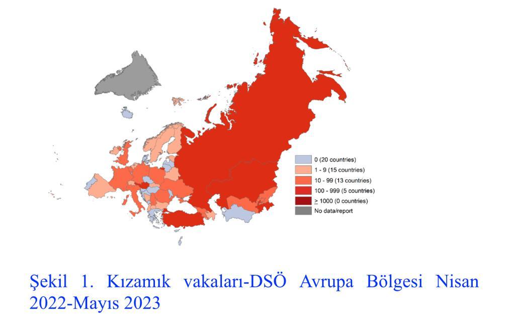 kızamık grafik