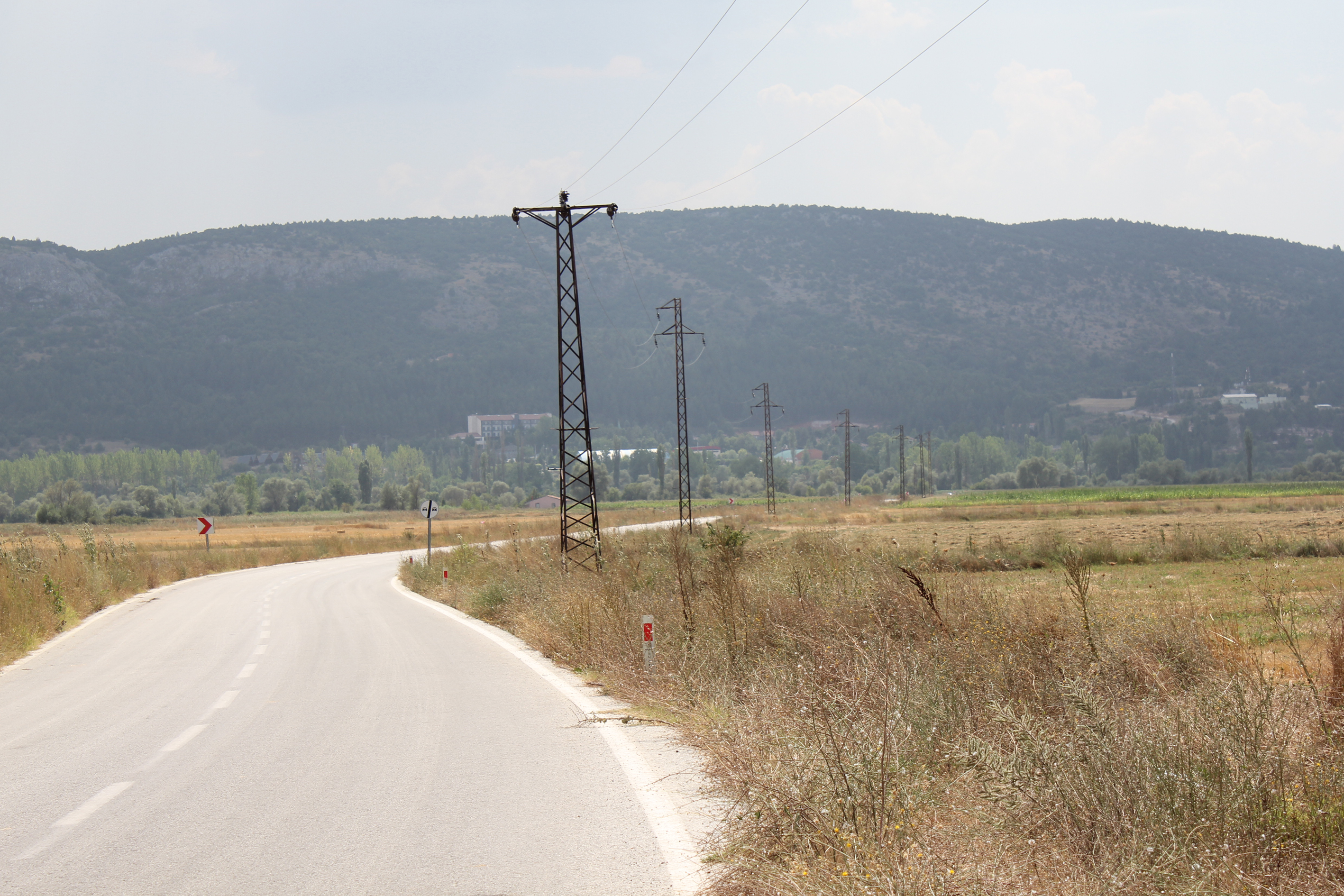 2-KUTAHYADA_ELEKTRIK_DIREGINDE_AKIMA_KAPILAN_50YE_YAKIN_LEYLEK_TELEF_OLDU