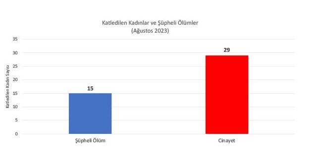 kadın cinayetleri1