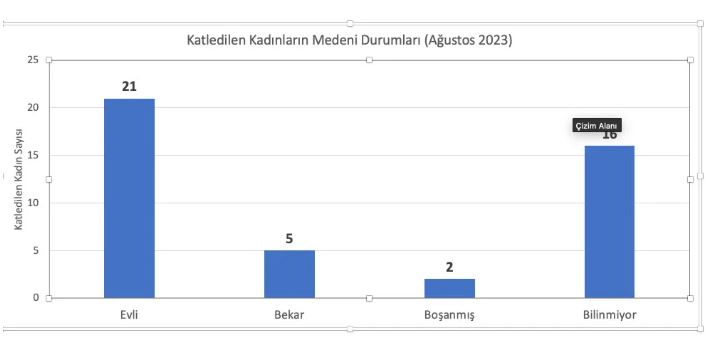 kadın cinayetleri2