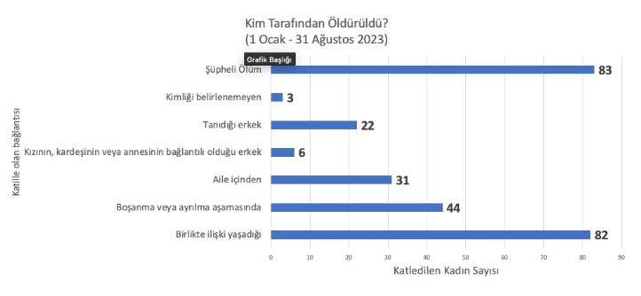 kadın cinayetleri3