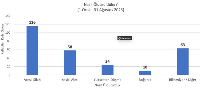 kadın cinayetleri4