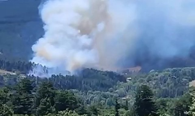 Bursa'da Ormanlık Alanda Çıkan Yangına Müdahale Ediliyor
