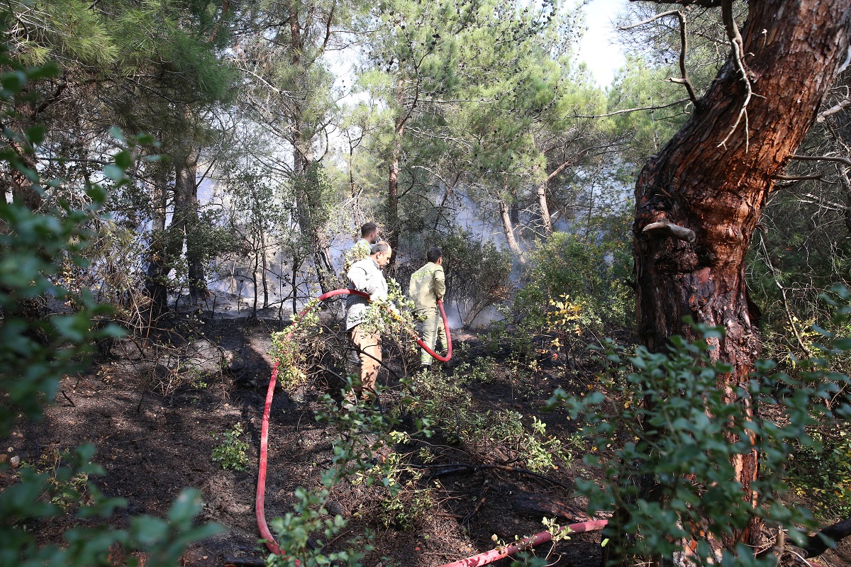 Hatay (2)