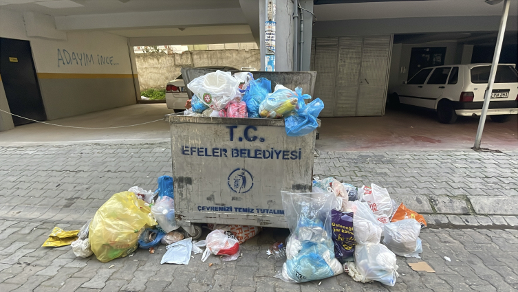 Aydın2-1