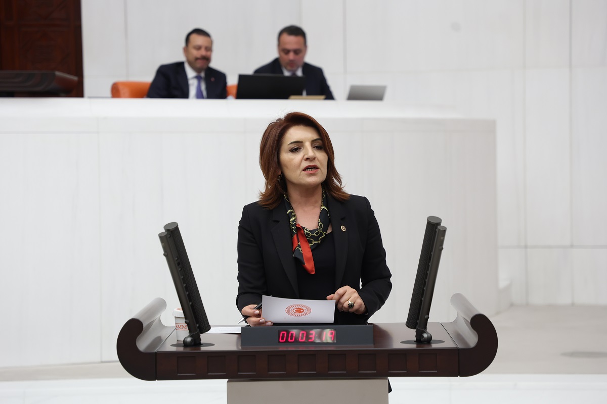 Gülcan Kış Mersin Milletvekili