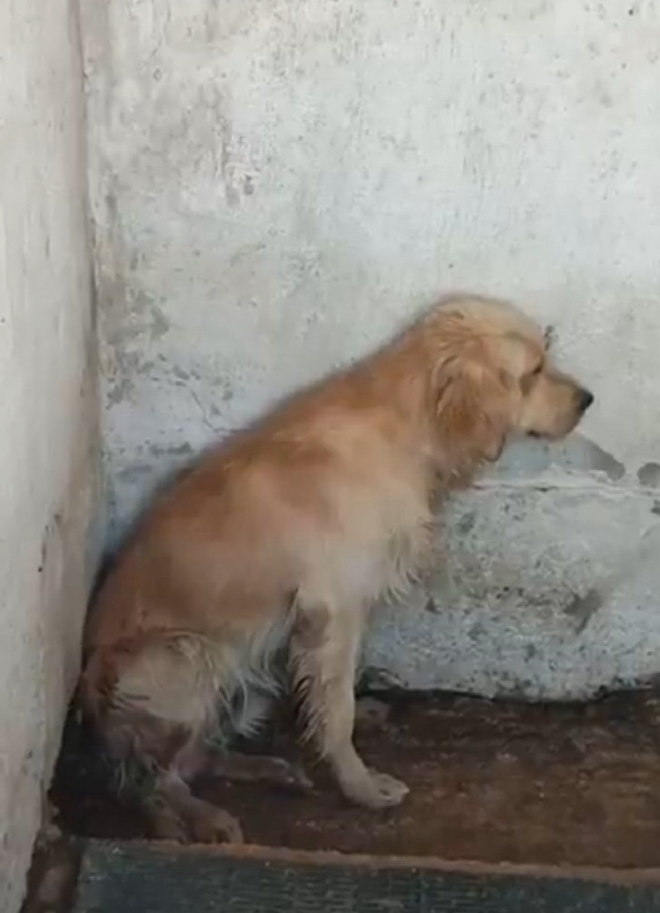 Ares