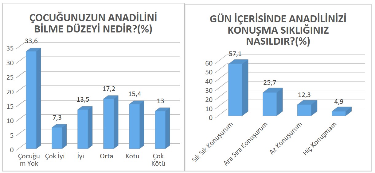Anket2.
