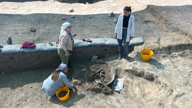 K U L L U O B A K A Z I L A R I N D A 5 B I N Y I L O N C E S I N E 918481 272937