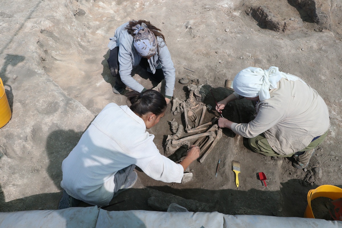 K U L L U O B A K A Z I L A R I N D A 5 B I N Y I L O N C E S I N E 918482 272937