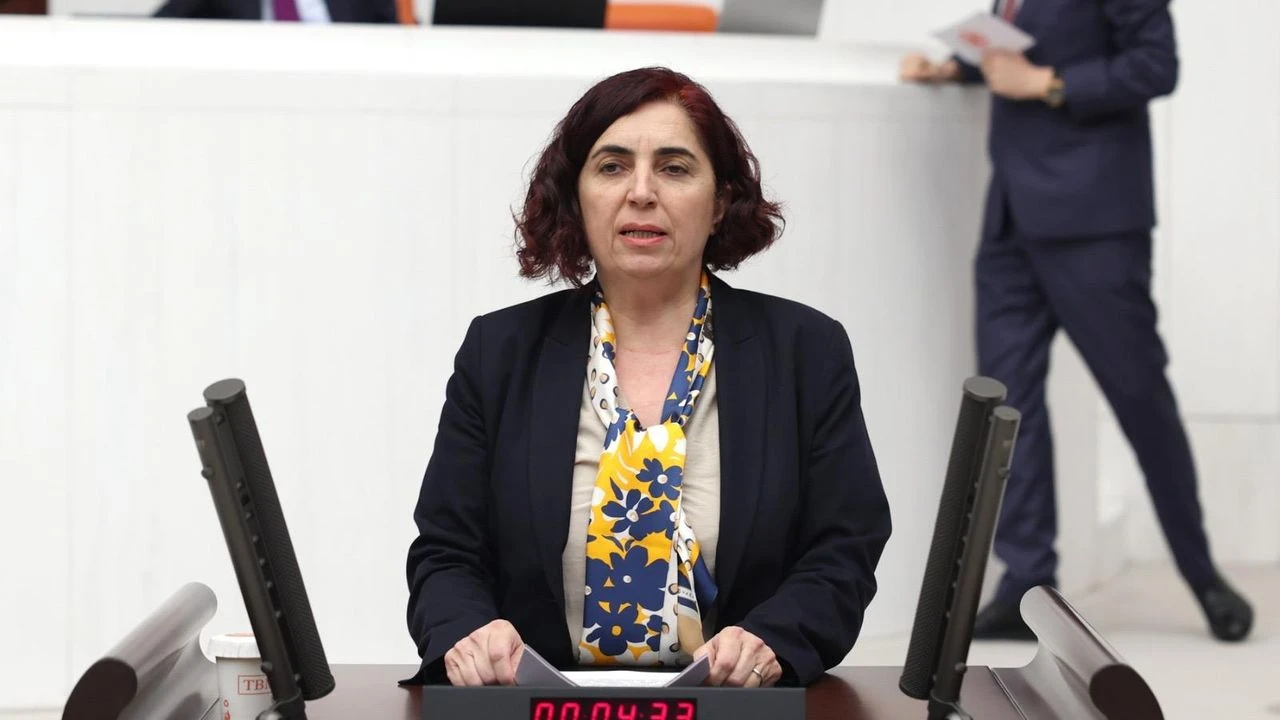 Dem Parti Diyarbakır Milletvekili Sevilay Çelenk