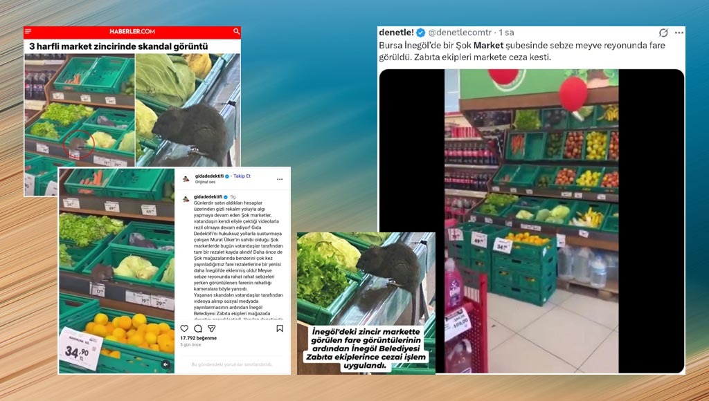 Whatsapp Image 2025 11 17 At 09.06.14