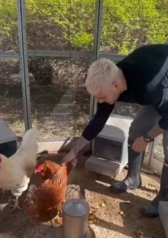 3848239 8Ca47Ff0123Bc0Be7Cae0906743 2Box