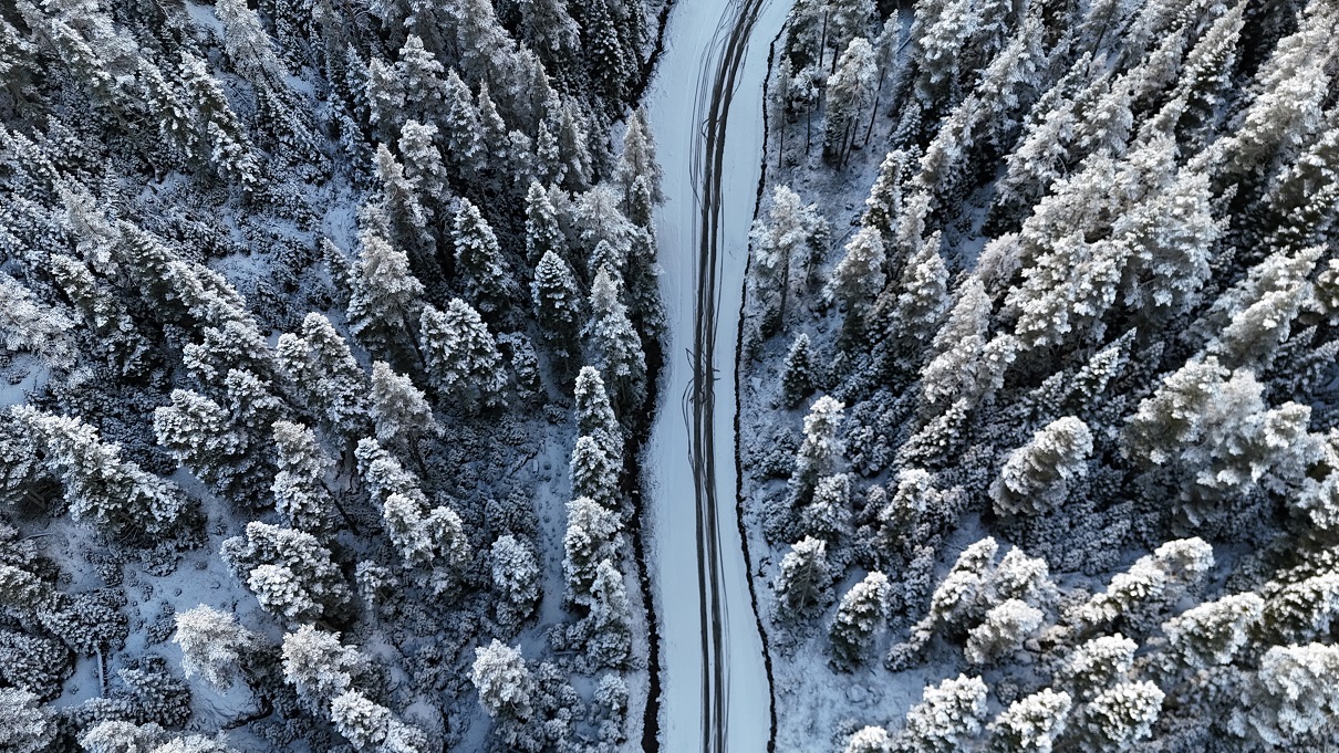 B O L U N U N Y U K S E K L E R I B E Y A Z O R T U Y L E K A P L A N 1041477 309045