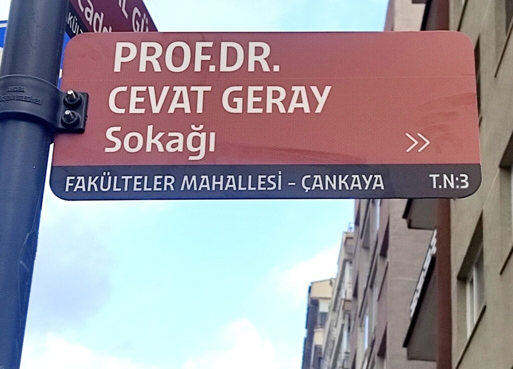 Cevat Geray Sokağı.-2