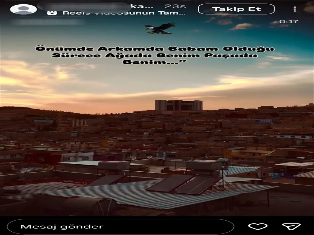 Mersin Çocuğun Paylaşımı