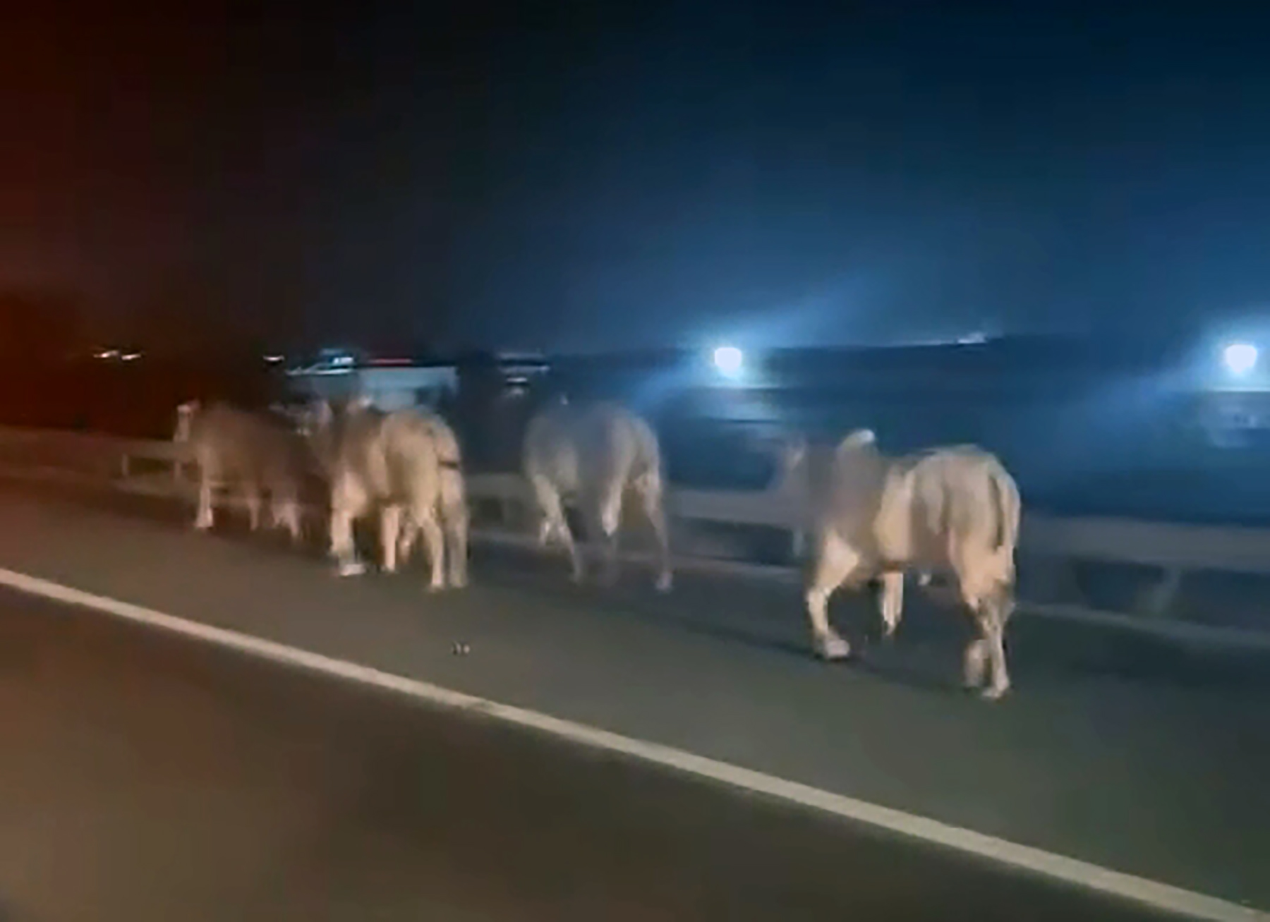 O T O Y O L D A D E V R I L I P Y A N A N T I R’ D A K I 2 K I S I 1068417 317035