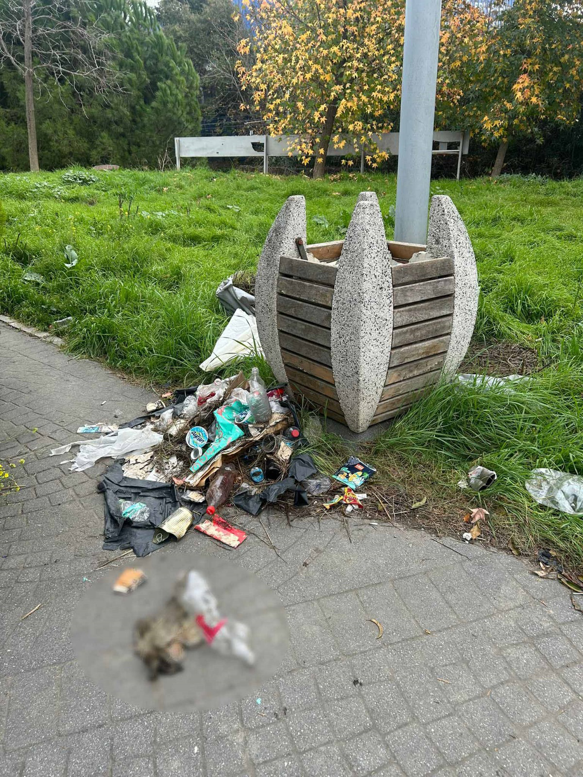 I S T A N B U L B A K I R K O Y D E B O T A N I K P A R K T A H A 1072854 316431