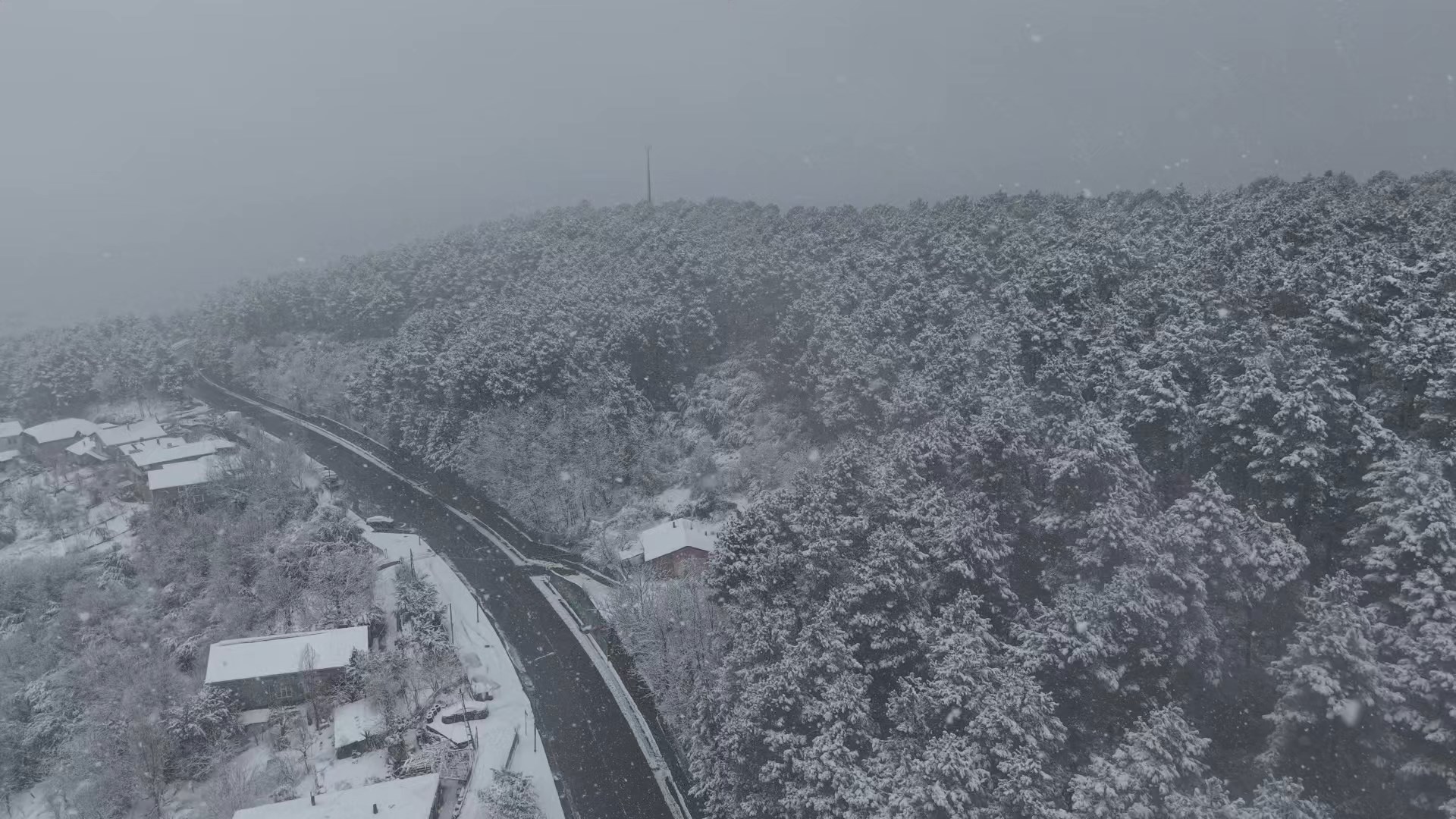 I S T A N B U L B E Y K O Z V E B A S A K S E H I R D E K A R Y A 1110701 329689