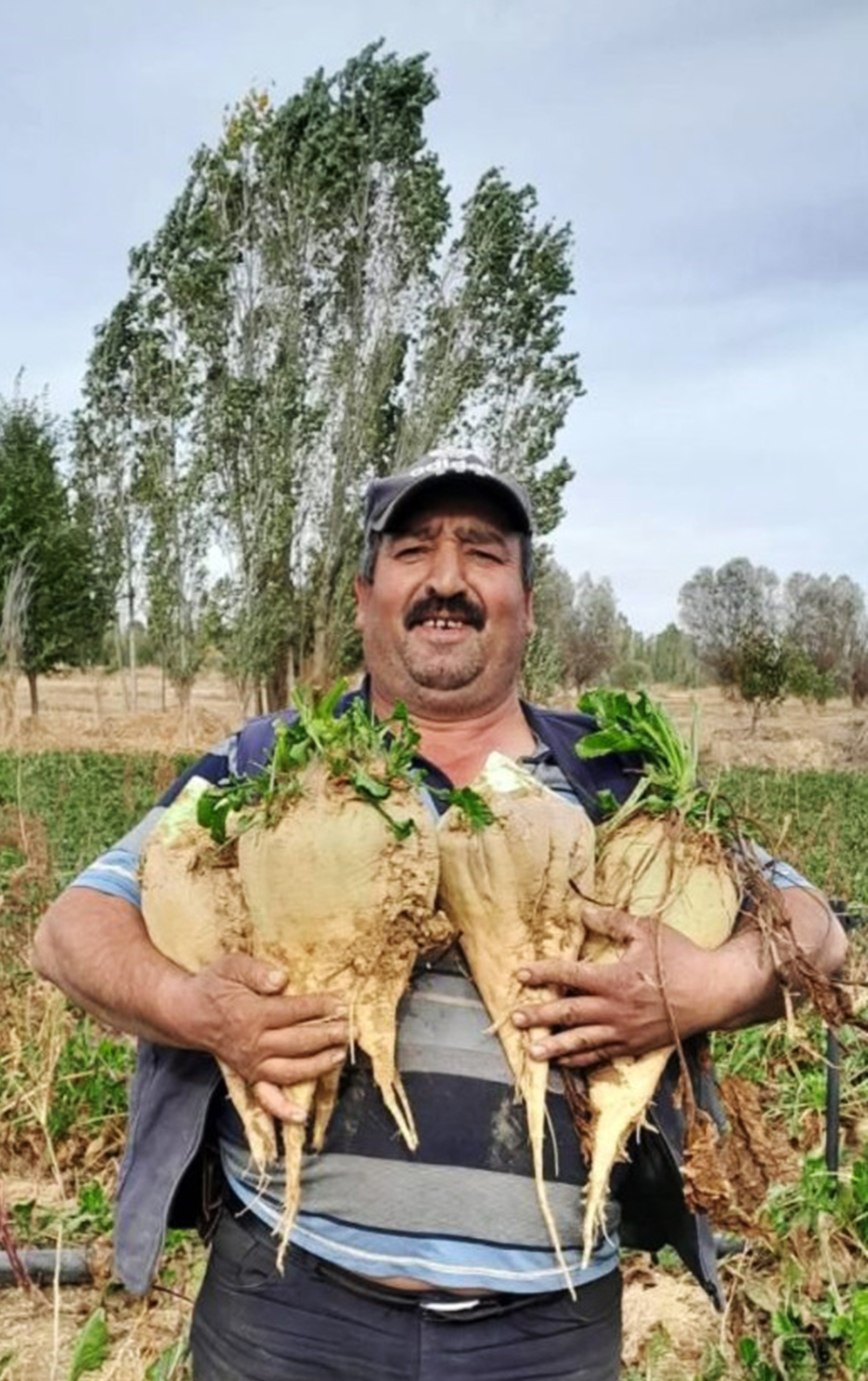 Y E G E N I N I N E S K I E S I T A R A F I N D A N T A B A N C A Y L A 1099307 326314