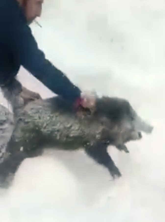 Y O L D A O N U N E C I K A N Y A B A N D O M U Z U N U E L L E R I Y 1102172 327166