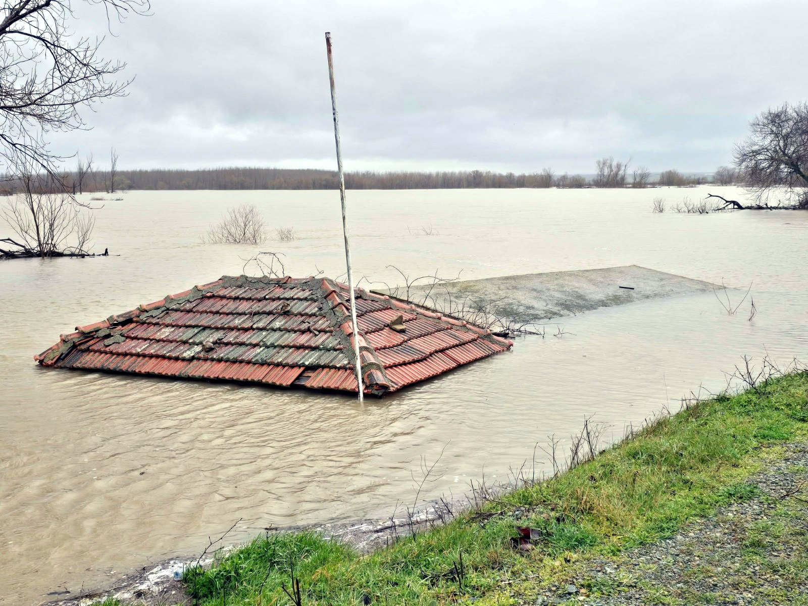 E D I R N E D E D E B I S I A R T A N T U N C A D A K I R M I Z I 1180853 350754