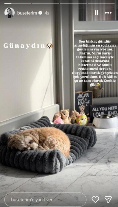 Ekran Görüntüsü 17 2 2026 185754 Www.msn.com