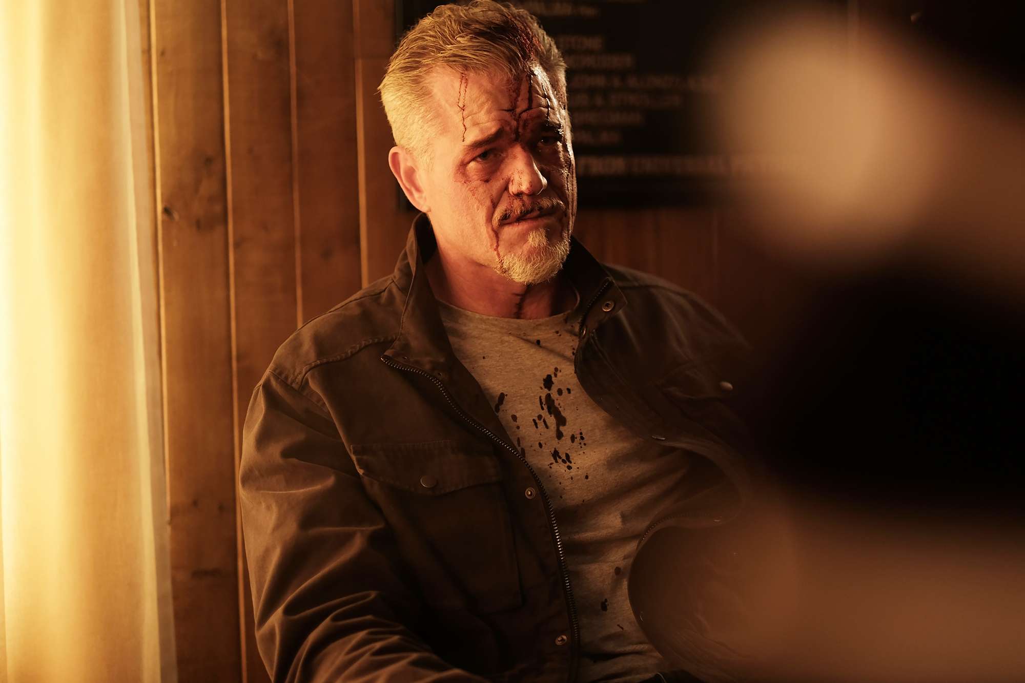 Eric Dane Euphoria