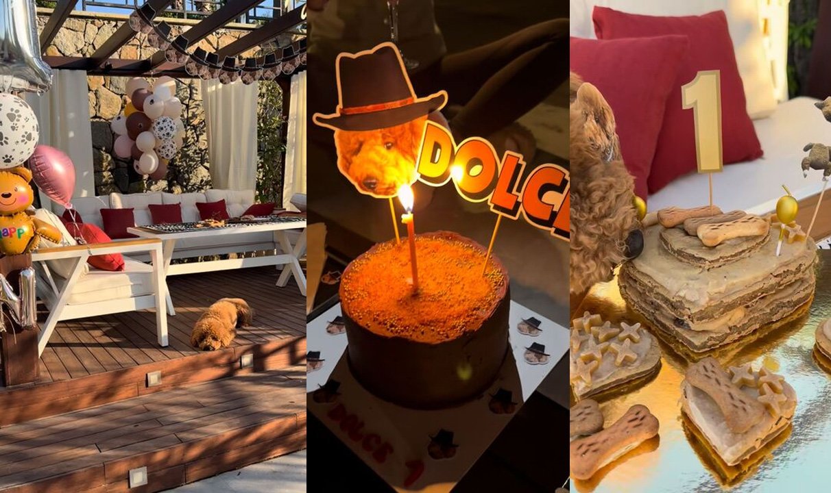 Nesrin Cavadzade Köpeği