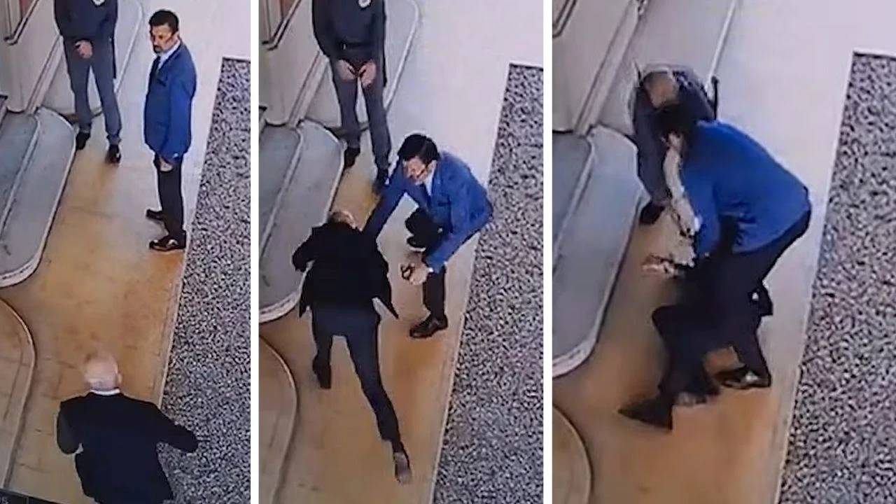 Mango Kurucusu Oğlu Kanıt Görüntü