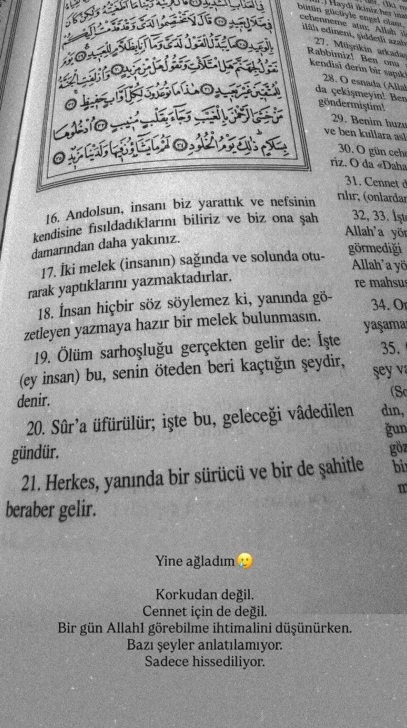 Şeyma-7
