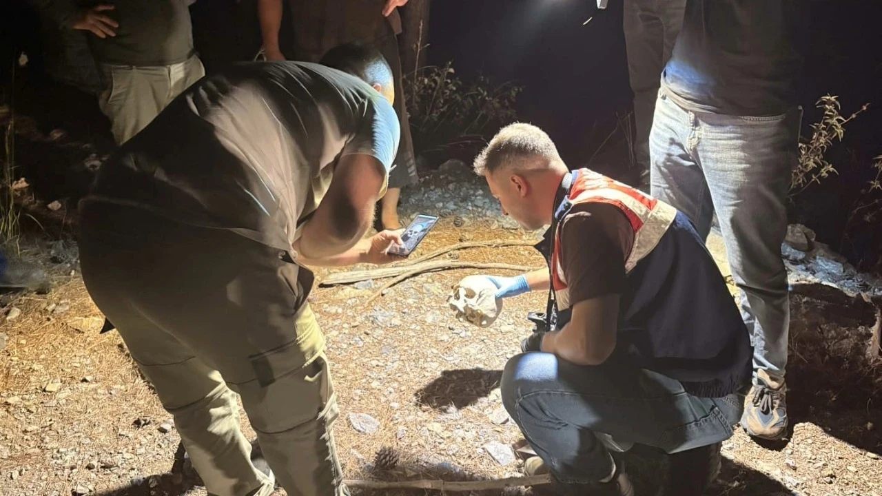 Antalya'da çoban kafatası buldu