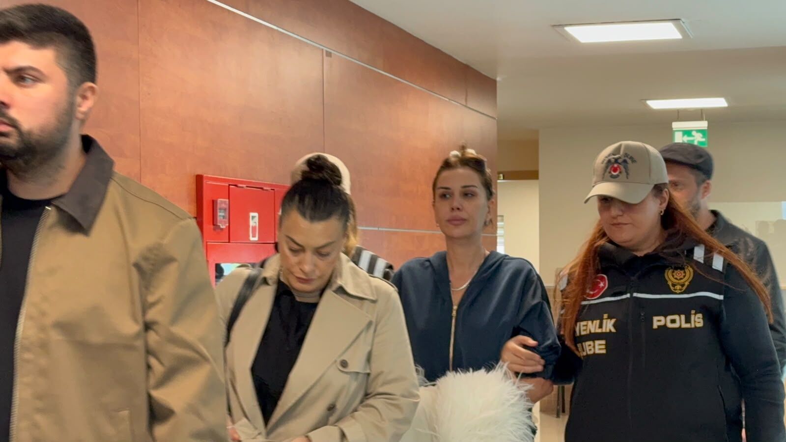 'Cumhurbaşkanına hakaret'ten gözaltına alınan Dilan Polat hakkında adli kontrol kararı