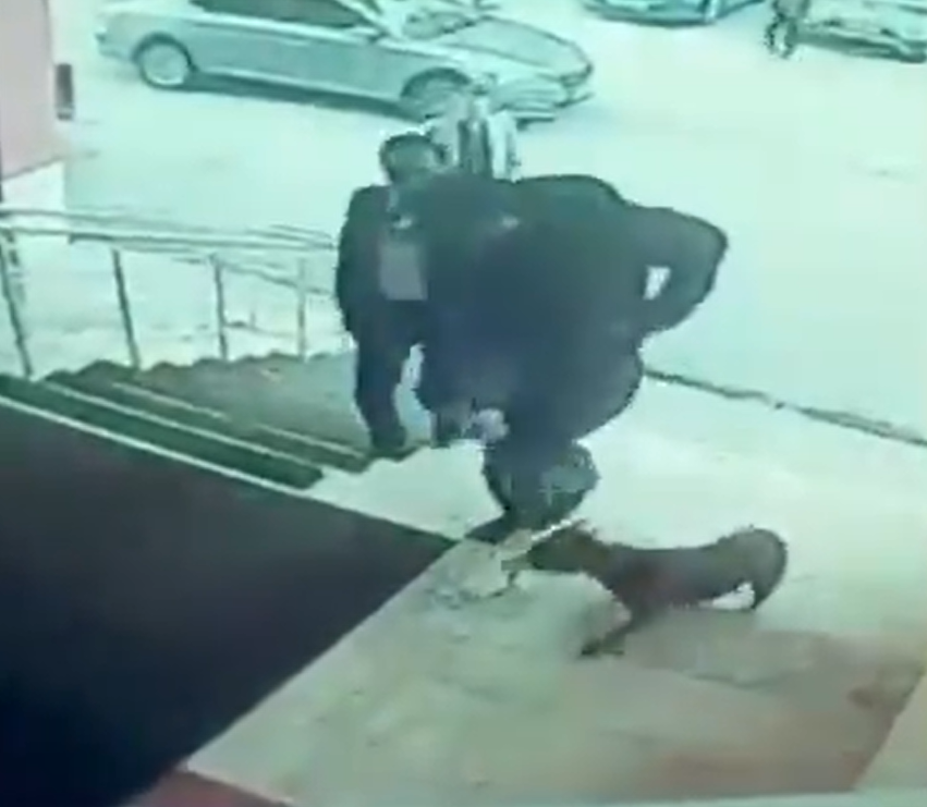 Köpek-9